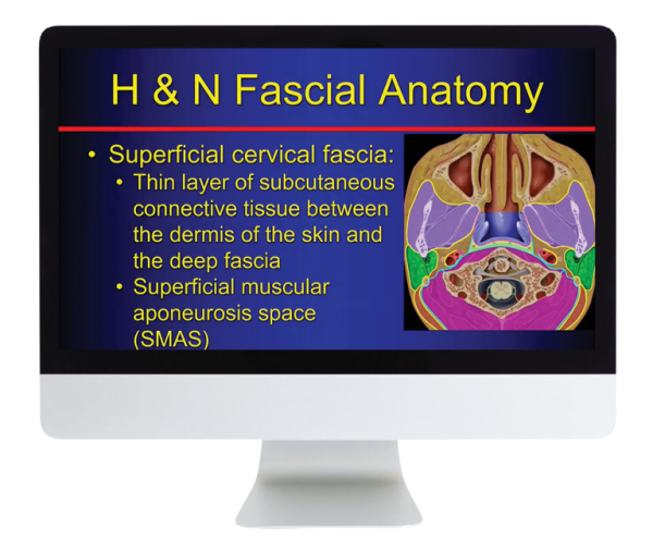 American Roentgen Ray Society The Suprahyoid Neck Pathology Through Anatomy 2023