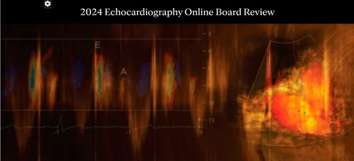 Mayo Clinic 2024 Echocardiography Online Board Review (Videos + Slides)