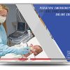 Gulfcoast Pediatric Emergency and Critical Care Ultrasound 2019 (Videos)