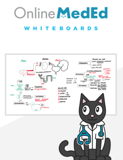 OnlineMedEd WhiteBoard Snapshot for Clinical Science “USMLE STEP 2” 2021 (PDF)