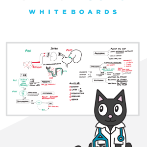 OnlineMedEd WhiteBoard Snapshot for Clinical Science “USMLE STEP 2” 2021 (PDF)