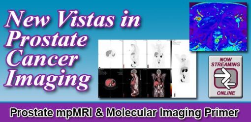 New Vistas in Prostate Cancer Imaging 2022