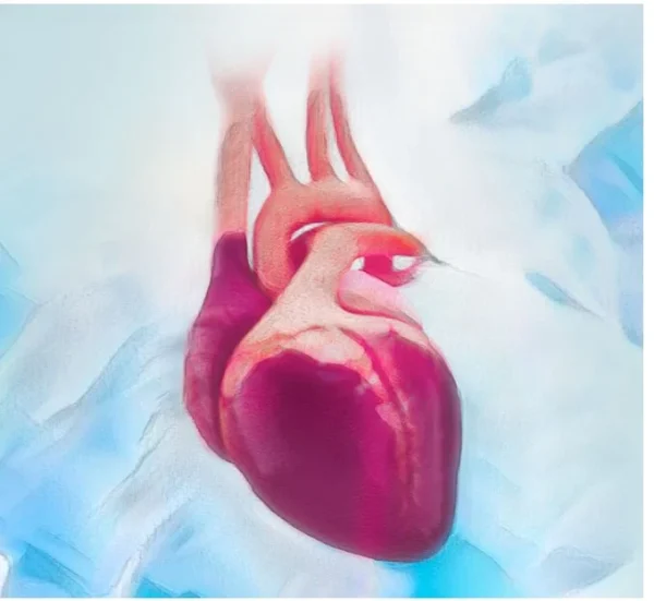 Cardiac Surgery Certification (CSC) Review Course 2022 (Videos + Slides + Quiz)