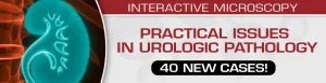 Practical Issues in Urologic Pathology – 40 New Cases! 2021 (Videos)