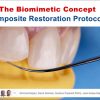 The Biomimetic Concept: Composite Restoration Protocols