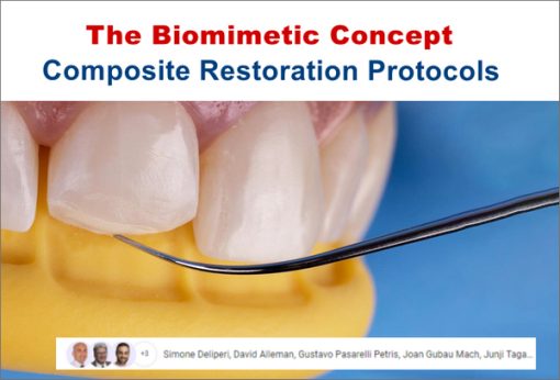 The Biomimetic Concept: Composite Restoration Protocols