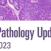 MD Anderson Cancer Center Diagnostic Pathology Updates Conference 2023