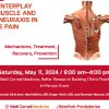 The Interplay of Muscle and the Neuraxis in Spine Pain 2024