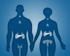 Endocrine and Nutrition
