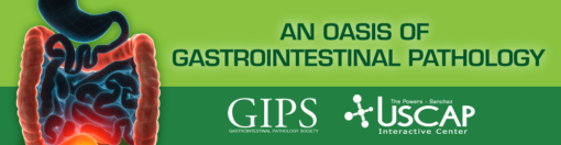 An Oasis of Gastrointestinal Pathology 2020 1573063511 510x132 1