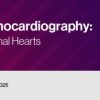 2022 Fetal Echocardiography Normal and Abnormal Hearts