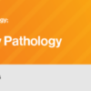 Classic Lectures in Pathology: What You Need to Know: Genitourinary 2022