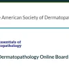 ASDP Essentials of Dermatopathology Online Board Review Course 2024 ASDP Essentials of Dermatopathology Online Board Review Course 2024