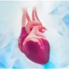 Cardiac Surgery Certification (CSC) Review Course 2022