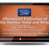 Gulfcoast: Ultrasound Evaluation of the Hand and Wrist