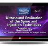 Gulfcoast: Ultrasound Evaluation of the Spine & Injection Techniques