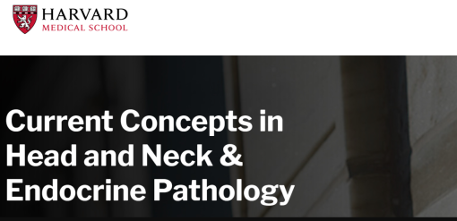 Harvard Current Concepts in Head and Neck Pathology & Endocrine Pathology 2023