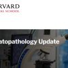 Harvard Dermatopathology Update 2022