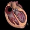 MRI Online Mastery Series: Fundamentals of Cardiac MRI 2021
