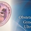 Pegasus Lectures Complete OB/GYN Review Ultrasound Video Course