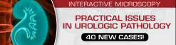 Practical Issues In Urologic Pathology – 40 New Cases! 2021