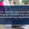 The Vascular Education And Self-Assessment Program (VESAP6) 2024