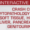 USCAP Crash Course in Cytopathology: Thorax, Soft Tissue, Head and Neck, Liver, Pancreatobiliary and Genitourinary Tract 2024