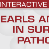 USCAP Second Edition: Pearls and Palms in Surgical Pathology 2023