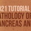 USCAP Tutorial in Pathology of the GI Tract, Pancreas and Liver 2021