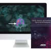 ARRS Pitfalls, Variants, and Pseudolesions: How to Avoid Misdiagnosis 2019