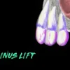 Ninja Sinus Lift Course