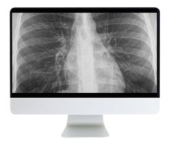 Case-Based Imaging Review Online Course 2022