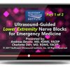 Gulfcoast: Ultrasound-Guided Lower Extremity Nerve Blocks for Emergency Medicine