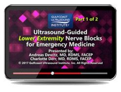 Gulfcoast: Ultrasound-Guided Lower Extremity Nerve Blocks for Emergency Medicine