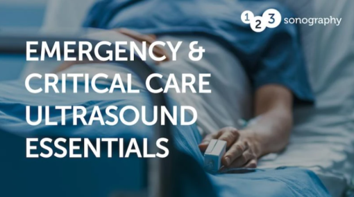 123sonography Emergency and Critical Care Ultrasound Essentials 2023