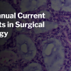 Harvard 45th Annual Current Concepts in Surgical Pathology 2024