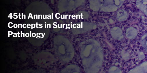 Harvard 45th Annual Current Concepts in Surgical Pathology 2024