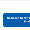 Head and Neck Pathology Through Anatomy 2024