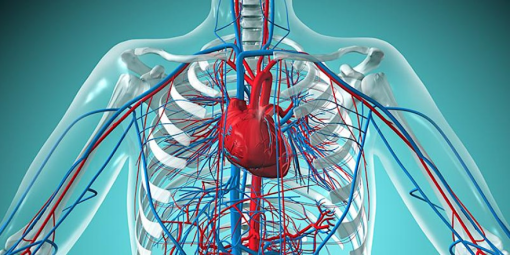 Hospital for Special Surgery Contemporary Topics in Vasculitis 2024