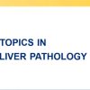 Johns Hopkins 24th Annual Current Topics in Gastrointestinal and Liver Pathology 2024