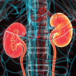 Intensive Review of Nephrology 2024