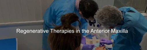 VISTA Institute for Therapeutic Innovations Regenerative Therapies in the Anterior Maxilla 2021