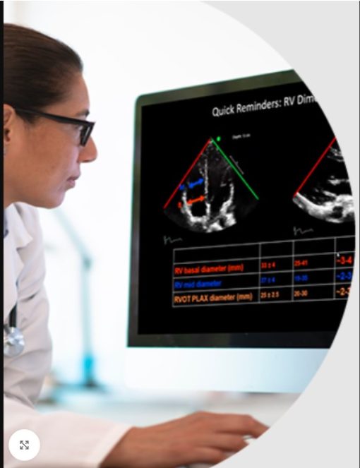 chest Critical Care Echocardiography Exam Virtual Board Review 2024