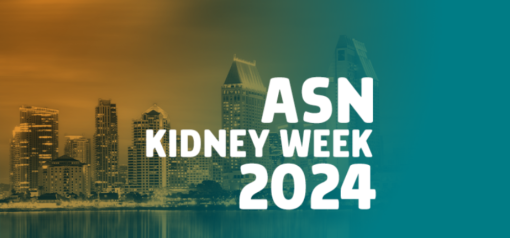 ASN Kidney Week 2024 – Between a Rock and a Hard Place Practical Updates in Kidney Stone Prevention and Management