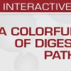 USCAP A Colorful Cornucopia of Digestive Tract Pathology 2022 USCAP A Colorful Cornucopia of Digestive Tract Pathology 2022
