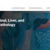 Harvard Gastrointestinal, Liver, and Pancreatic Pathology 2024