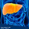 Michigan Medicine 13th Annual Western Michigan Liver Round-Up 2024