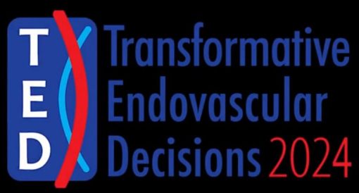 Transformative Endovascular Decisions Conference 2024