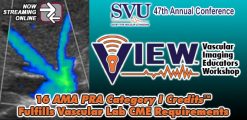 Vascular Imaging Educators Workshop (VIEW) 2025 (Videos)