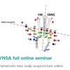 YNSA full online seminar 2024 (Videos + Slides) YNSA full online seminar 2024 (Videos + Slides)